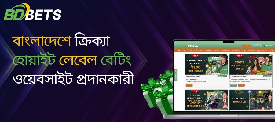 bdbetsolution-krikya22-white-label-betting-website-provider-in-bangladesh